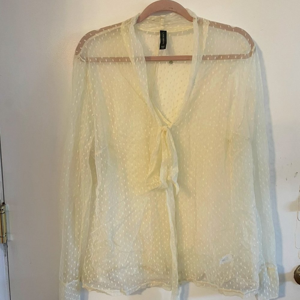 Dotted sheer top